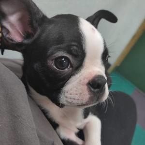 Meet your Posher, Cydnei